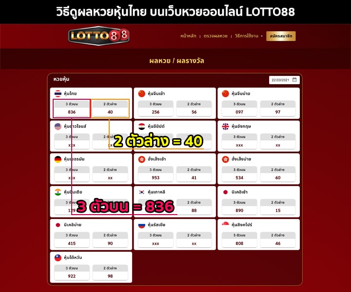 วิธีตรวจผลหวยหุ้นไทย บนเว็บ LOTTO88